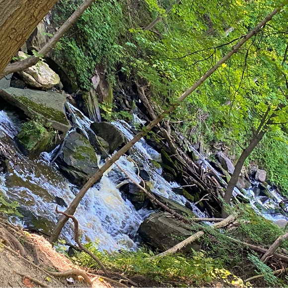 Meet your Posher, Jessie - Picture 1 of 1